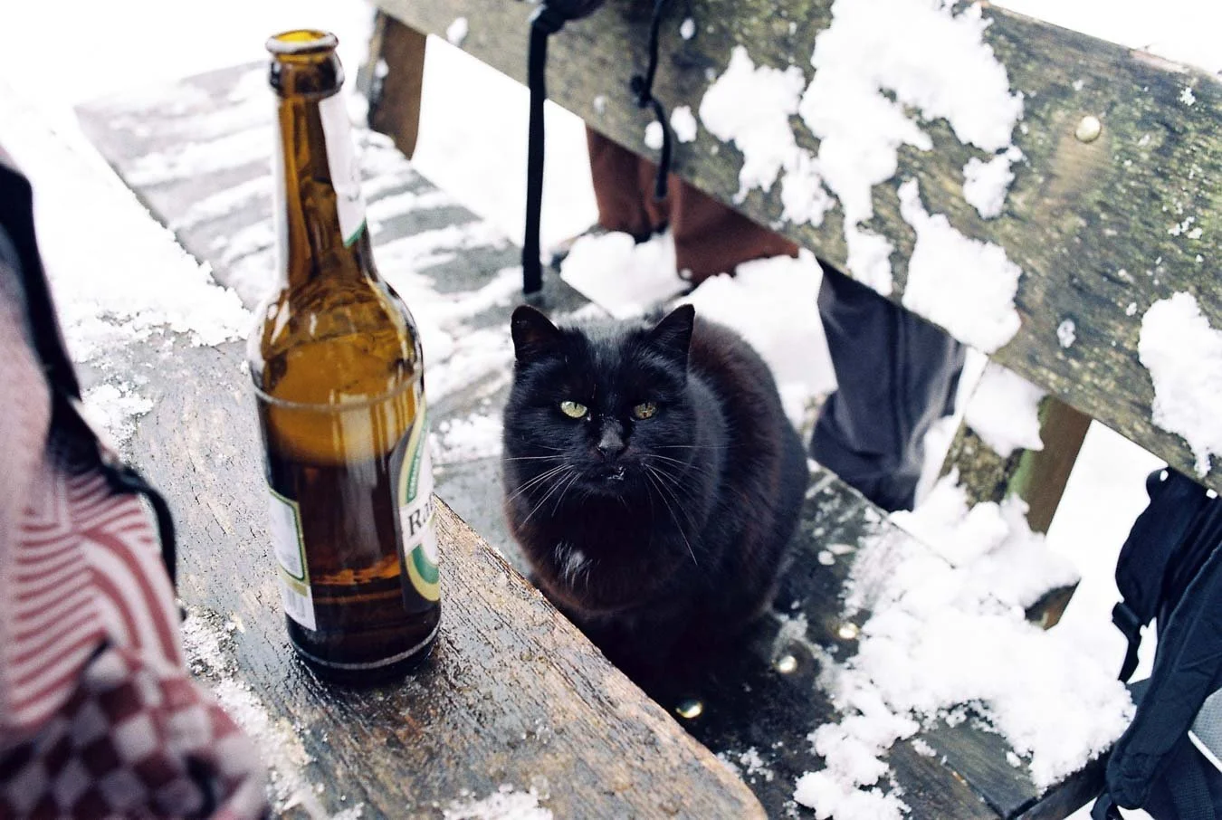 ▴ Unsual Beer Buddy (Vision3 500T) 