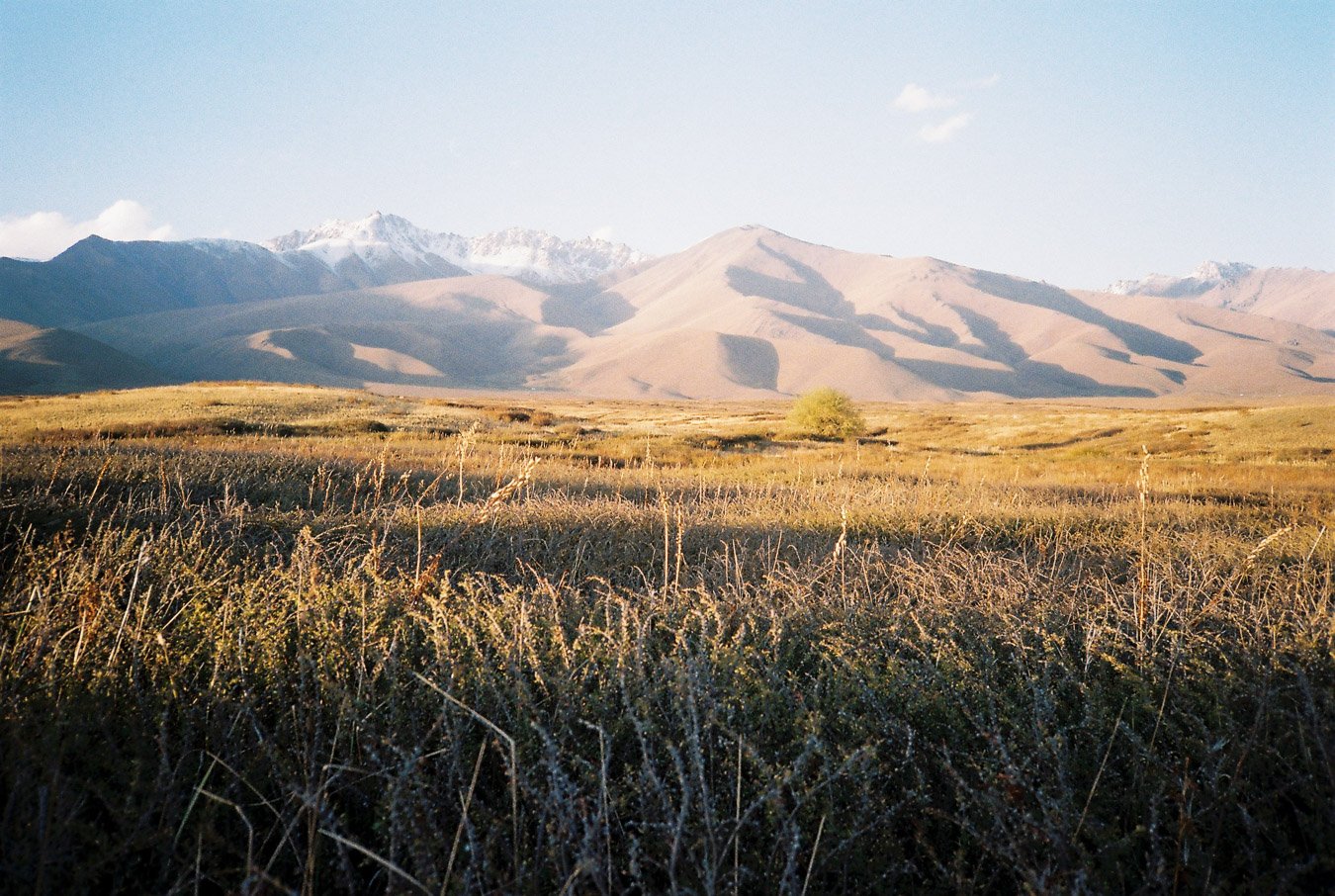 ▴ Golden Plains of Suusamy Valley at Sunset (ProImage 100)
