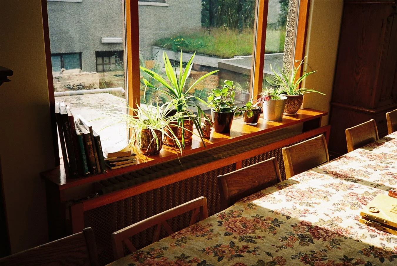 ▴ Guesthouse Reykjavík (Ultramax 400)