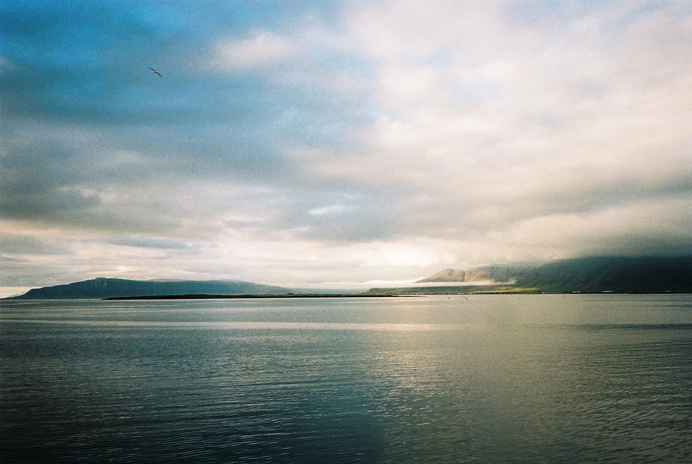 ▴ Harbor of Reykjavík (Ultramax 400)