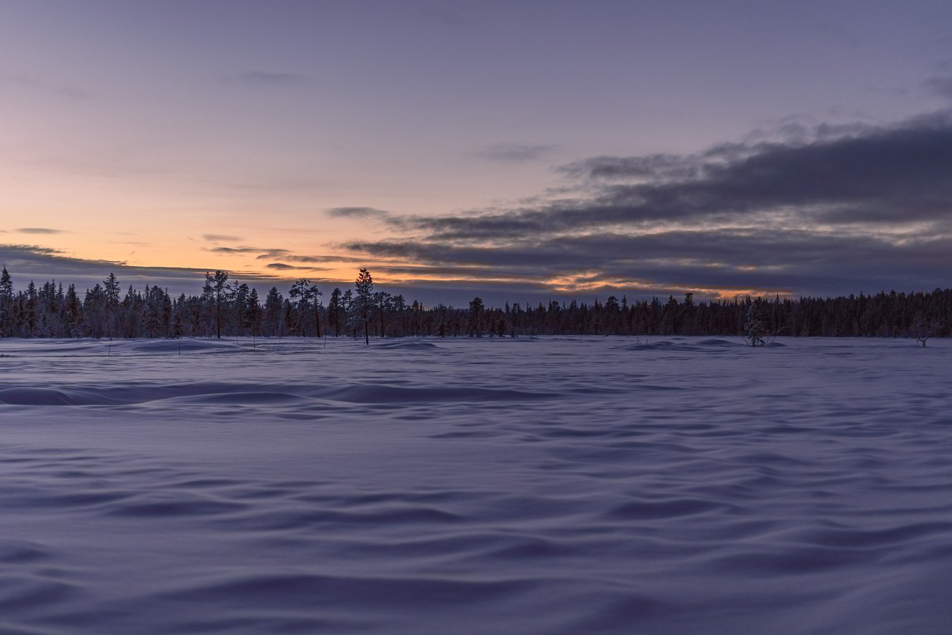 Winter landscape at sunset, typical of the scenery you may encounter during a dog sledding adventure in Swedish Lapland, near Kiruna, Sweden.