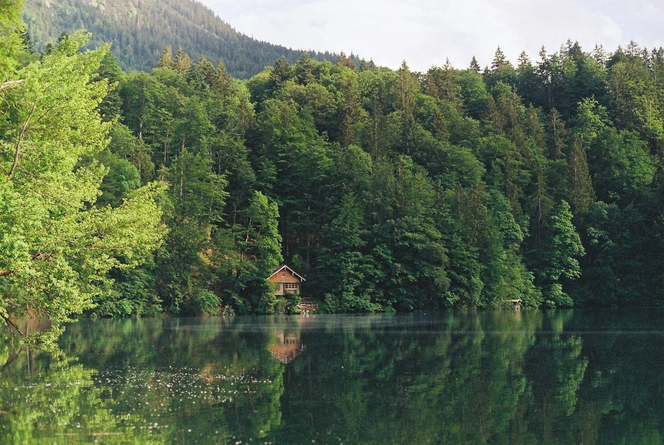 ▴ Freibergsee Reflection (Fuji 200)