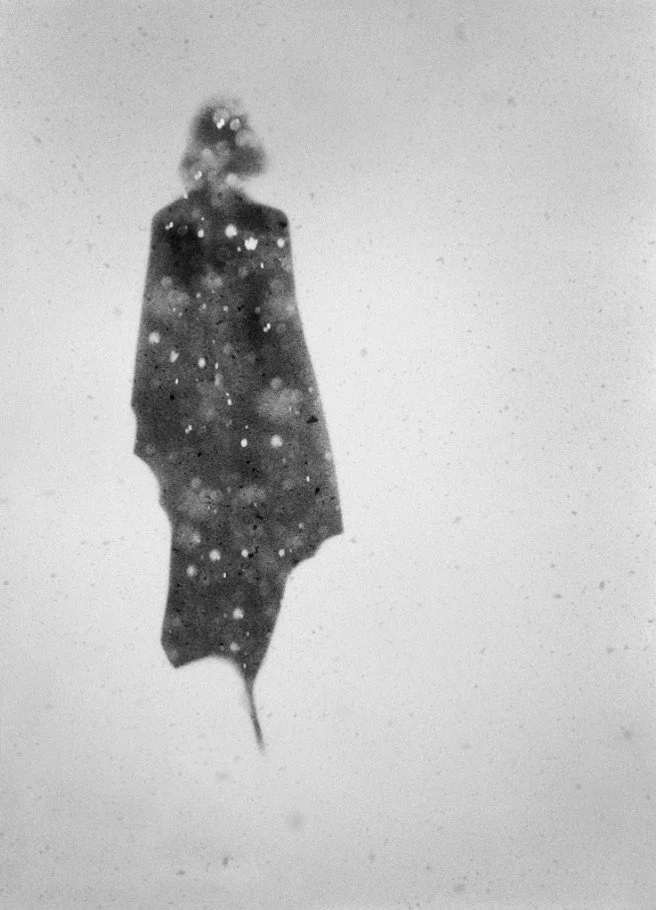 17 In the snow II Allgäu 2010.jpg