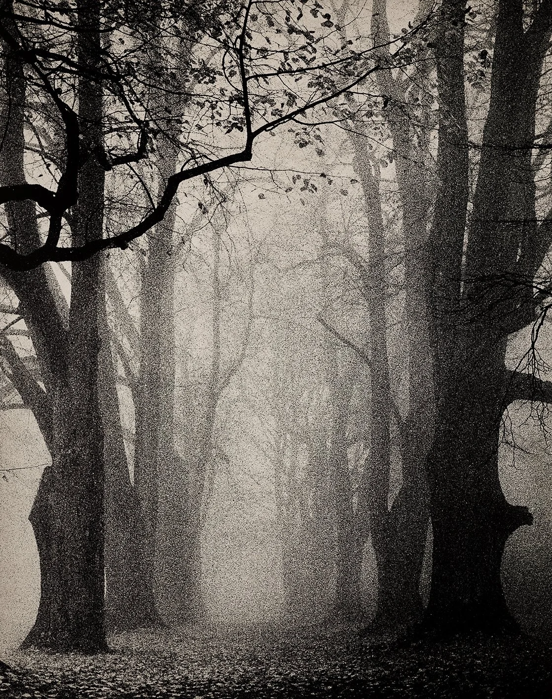 Waldungen No 0019/24, 2025