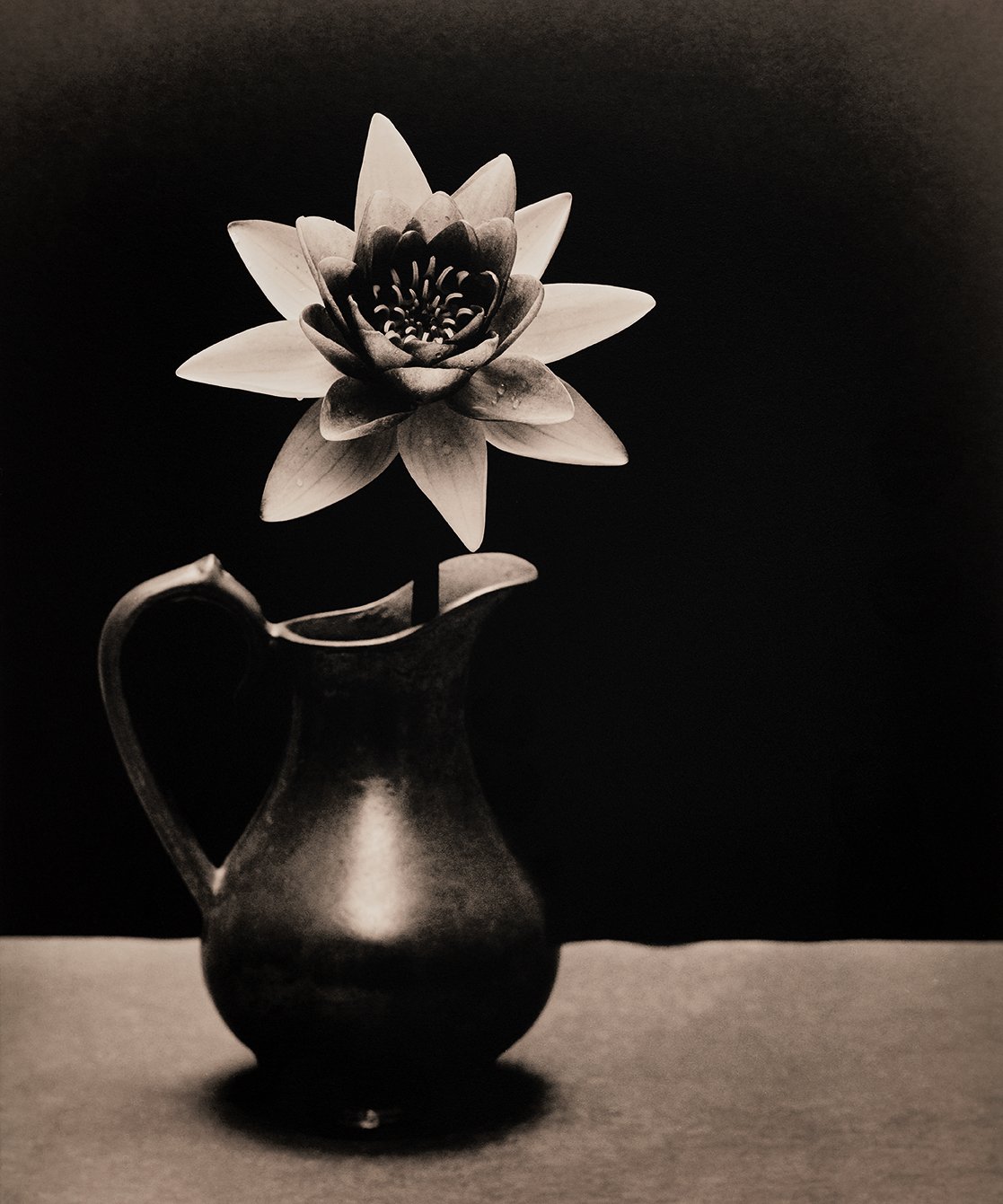 Das Prinzip der Blüte No 1338, 2025