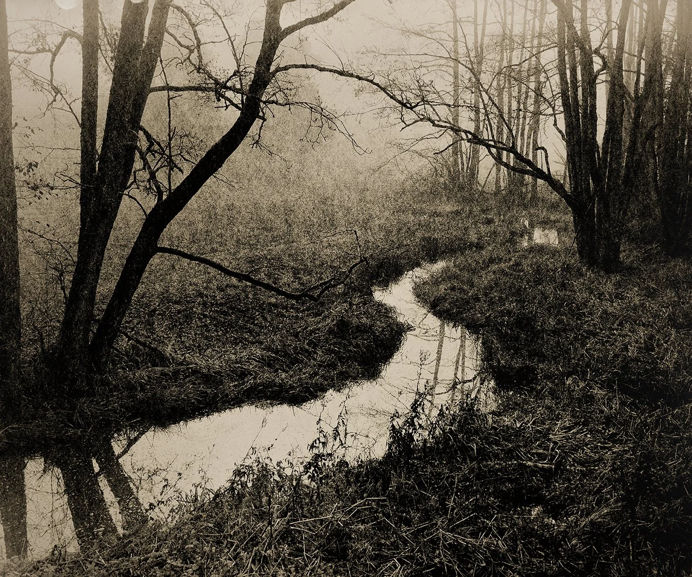 Waldungen No 1374/06, 2025