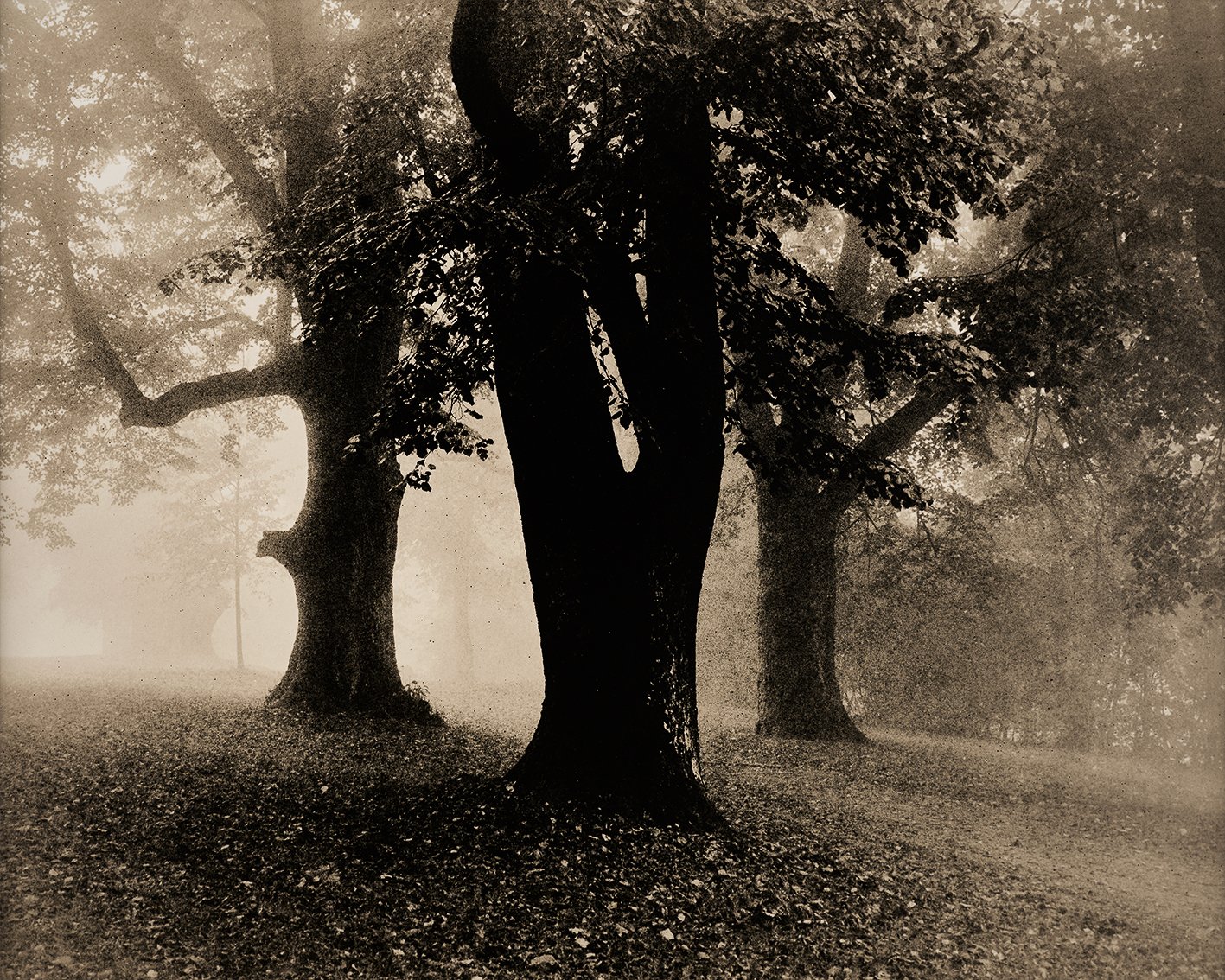 Waldungen No 1349/10, 2025