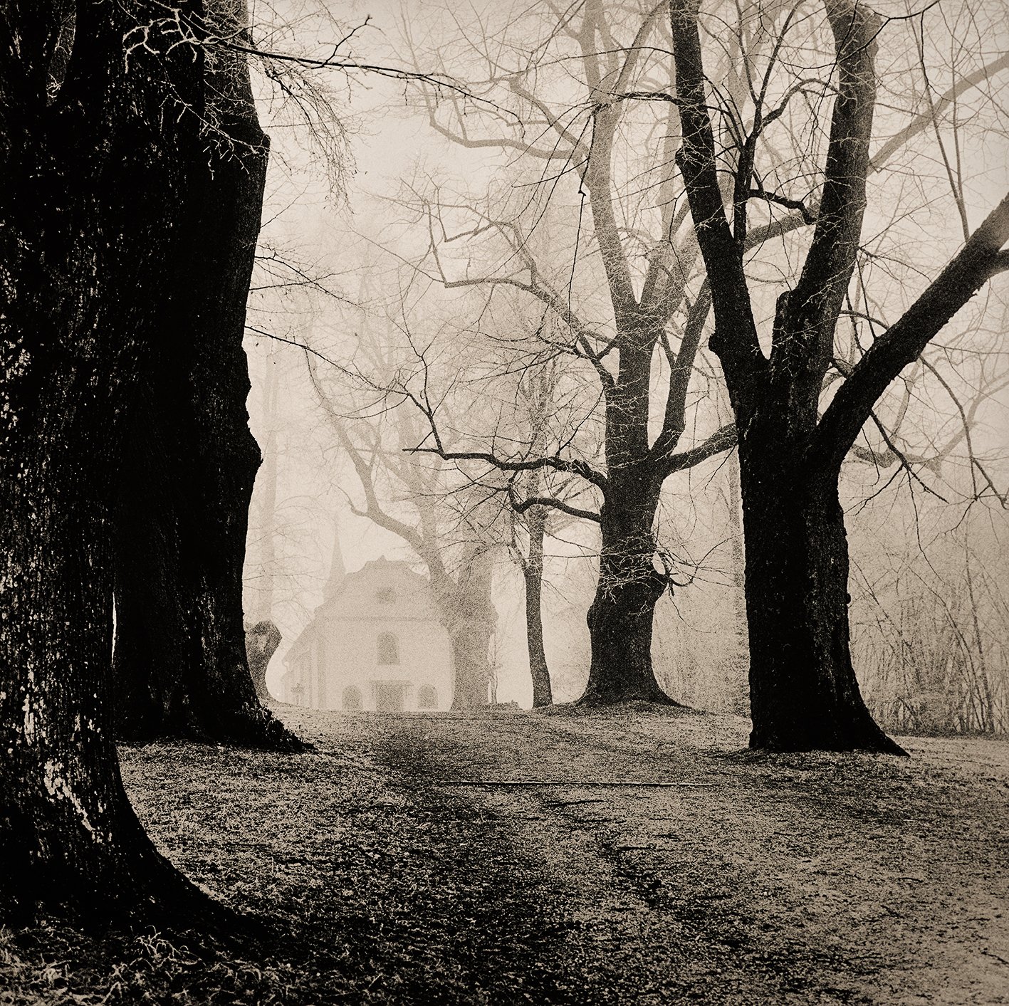 Waldungen No 1402/08, 2025