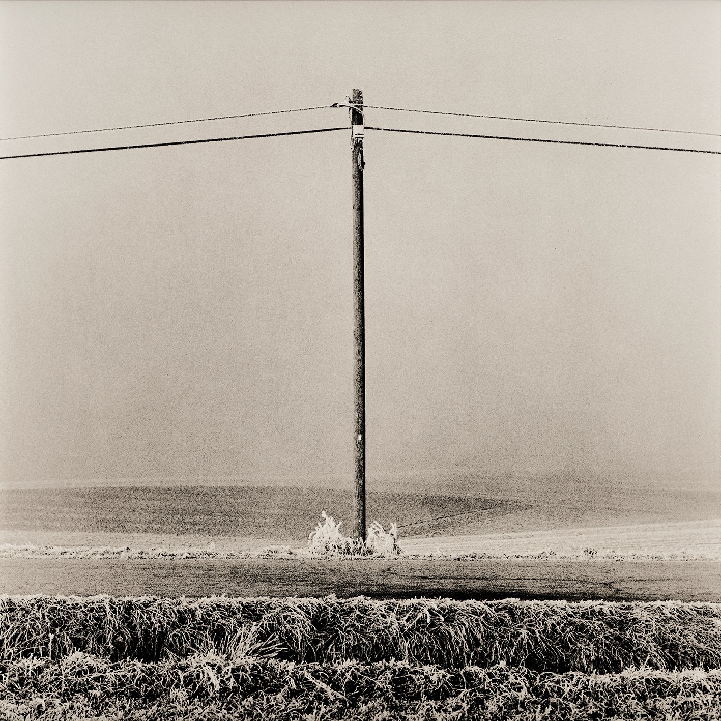 Martin Waldbauer_3106.jpg