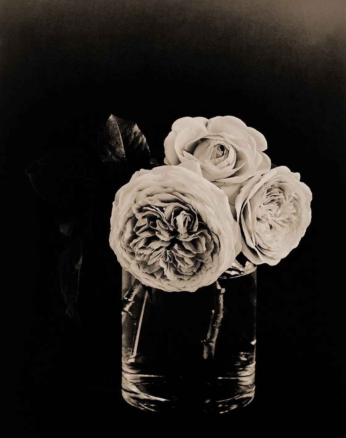 Das Prinzip der Blüte No 1330, 2025