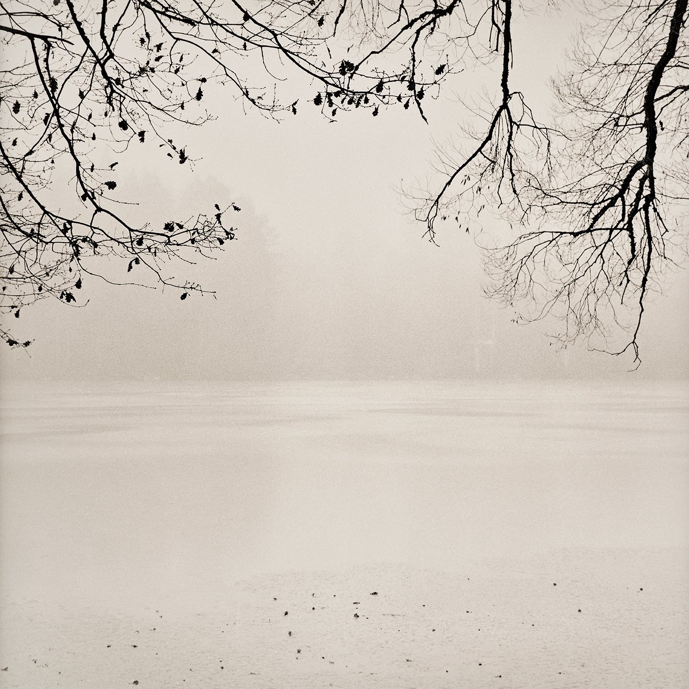 Grenzland No 1390/01, 2025