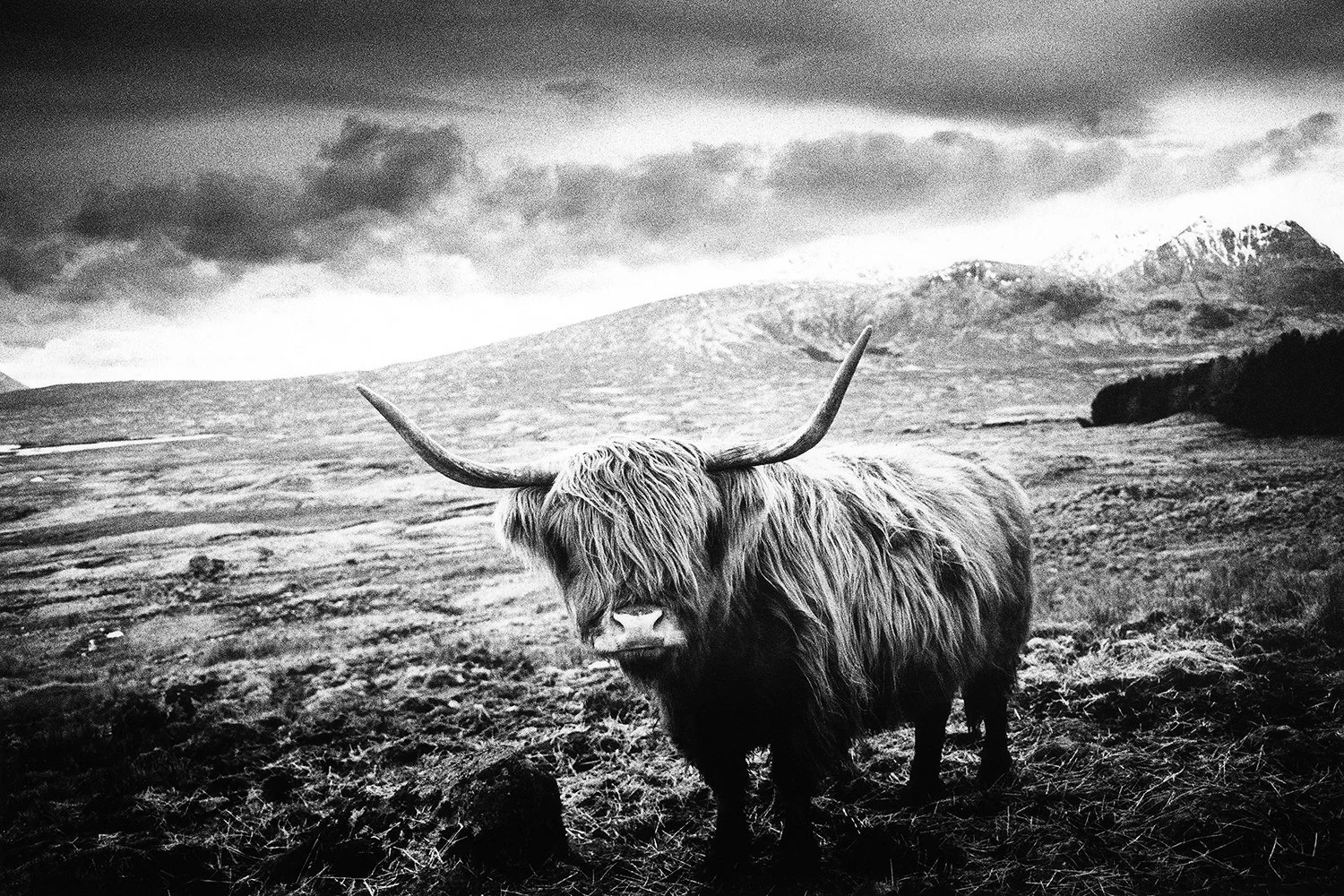 13_Towards the Black Corries, Scotland, 2024_2024_148_25A.jpg