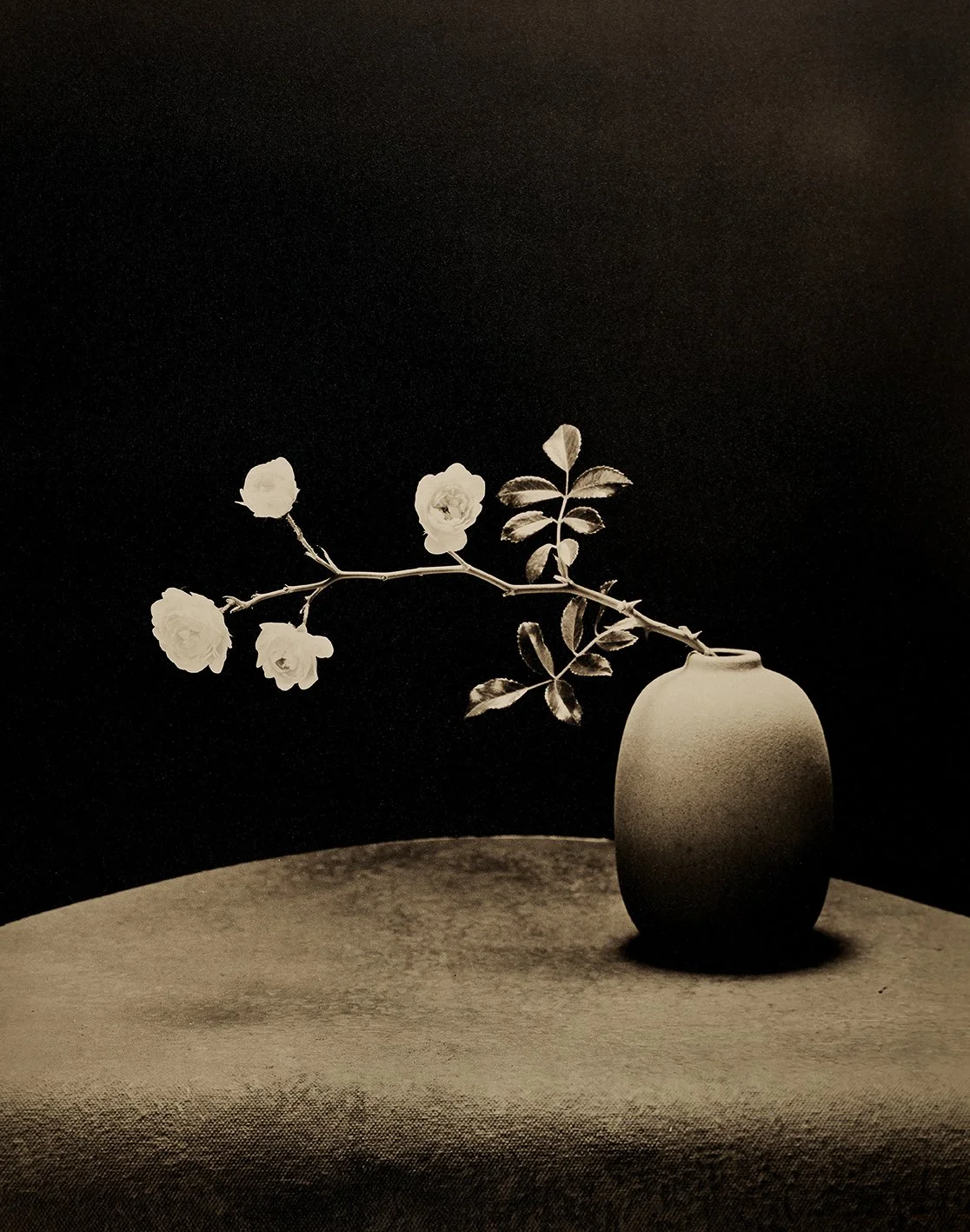 Das Prinzip der Blüte No 1343, 2025