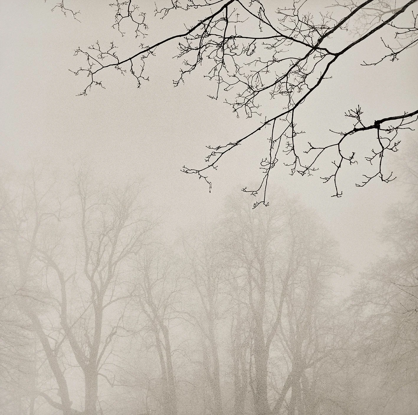 Waldungen No 1402/07, 2025