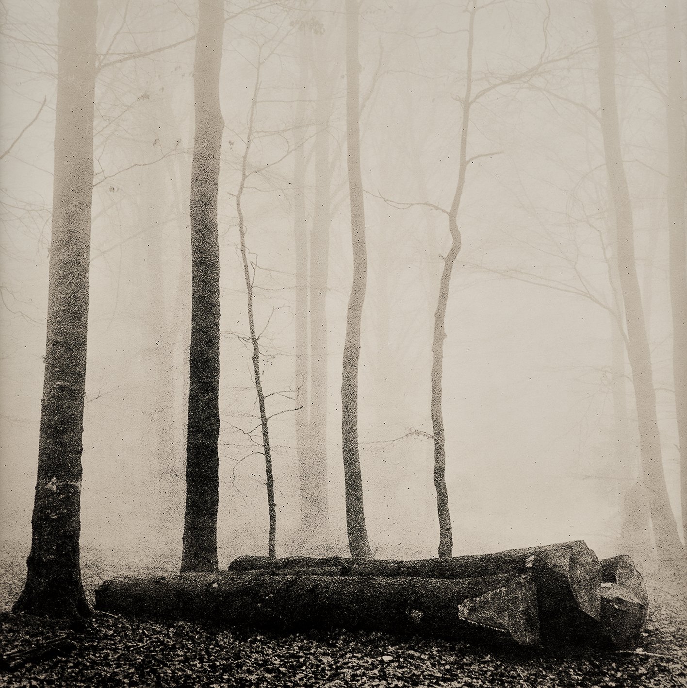 Waldungen No 1394/11, 2025