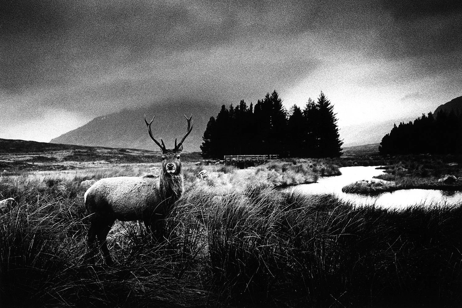 8_Glen Coe, Scotland, 2024_2024_16_35_lighter back darker middle.jpg
