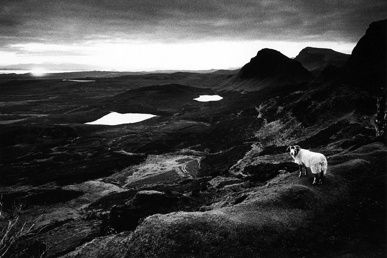 4_Quiraing, Isle of Skye, Scotland, 2024_2024_69_6A_V3.jpg