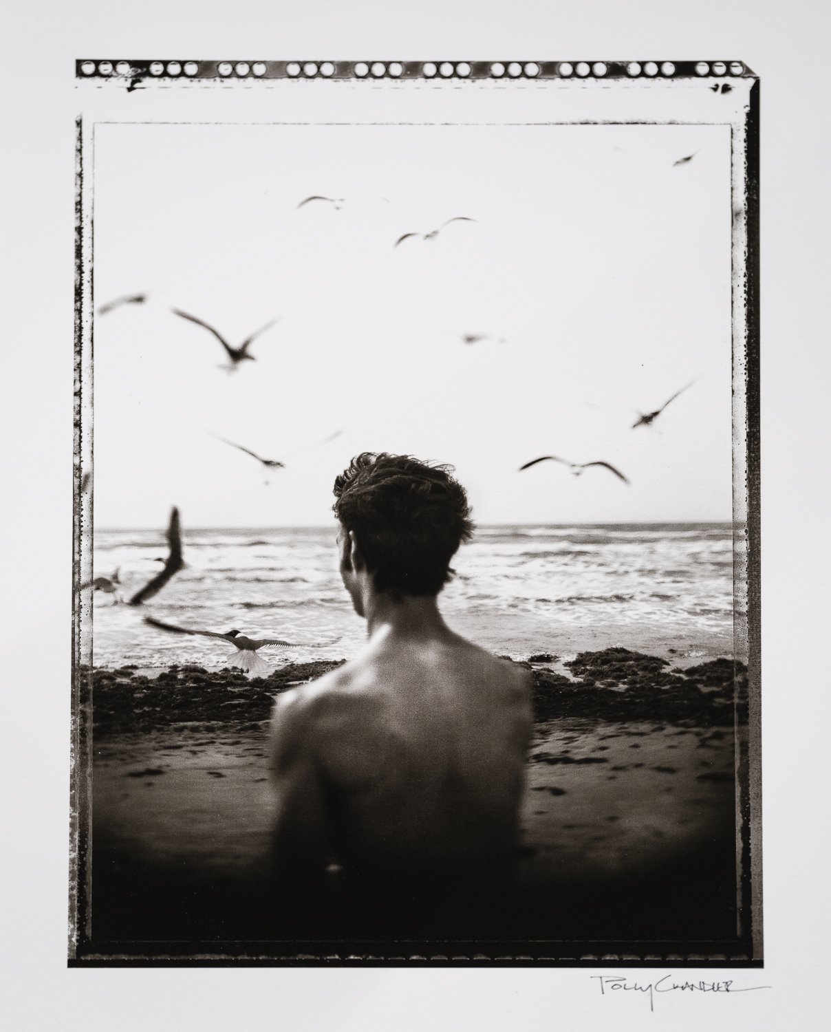 Polly Chandler: Untitled, 2013