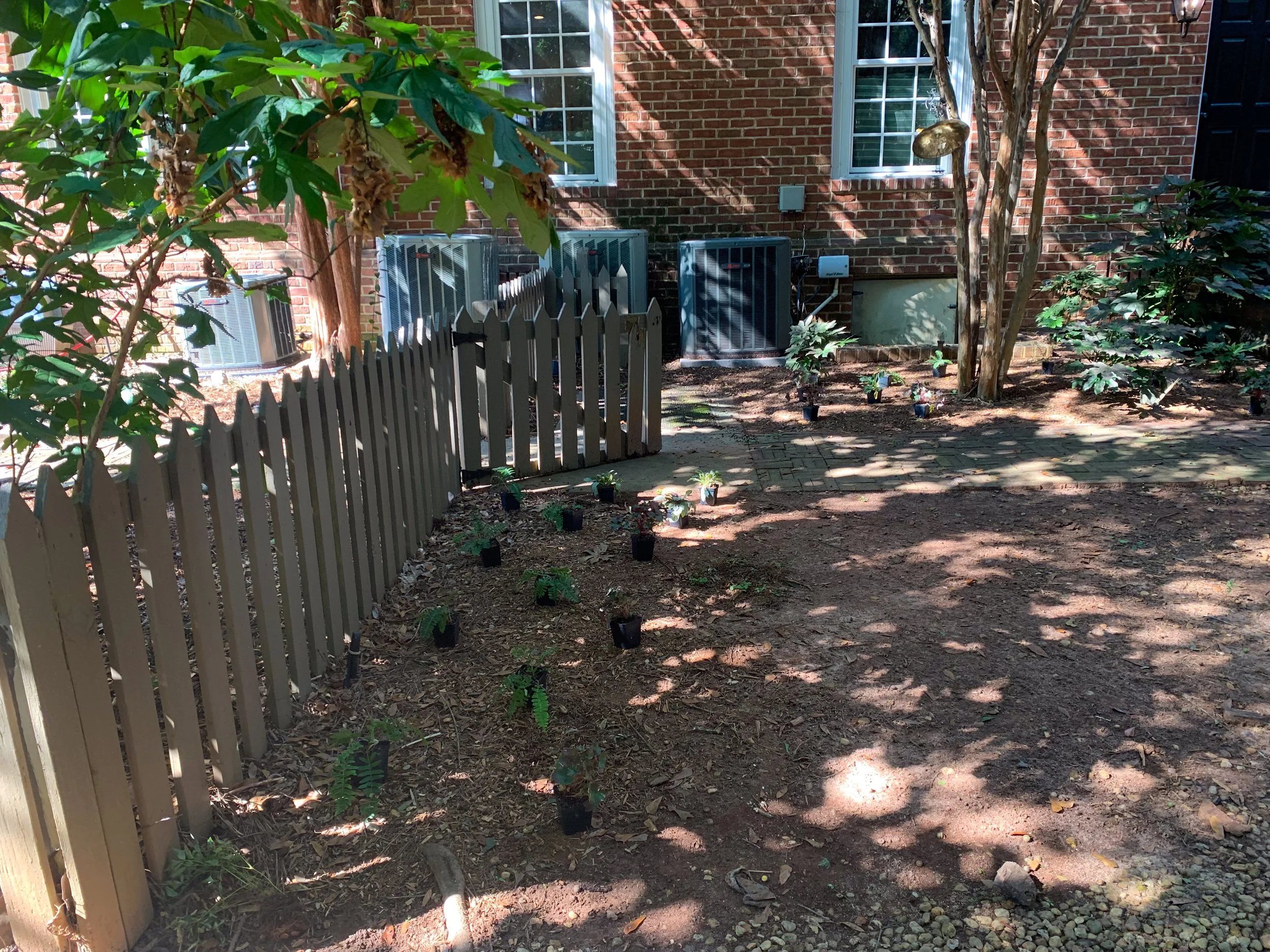 Grow Lush Shadescapes