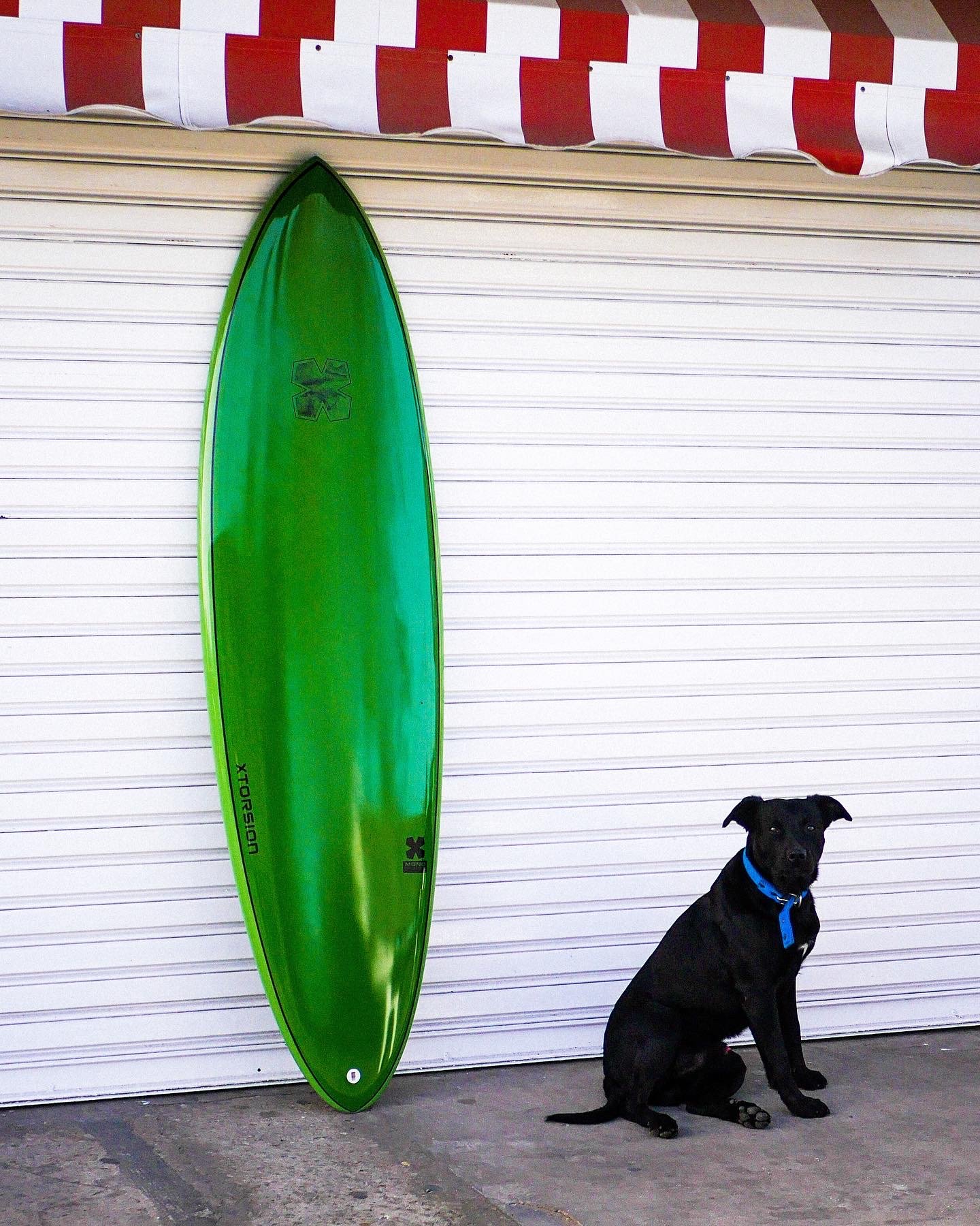 image00039.jpeg