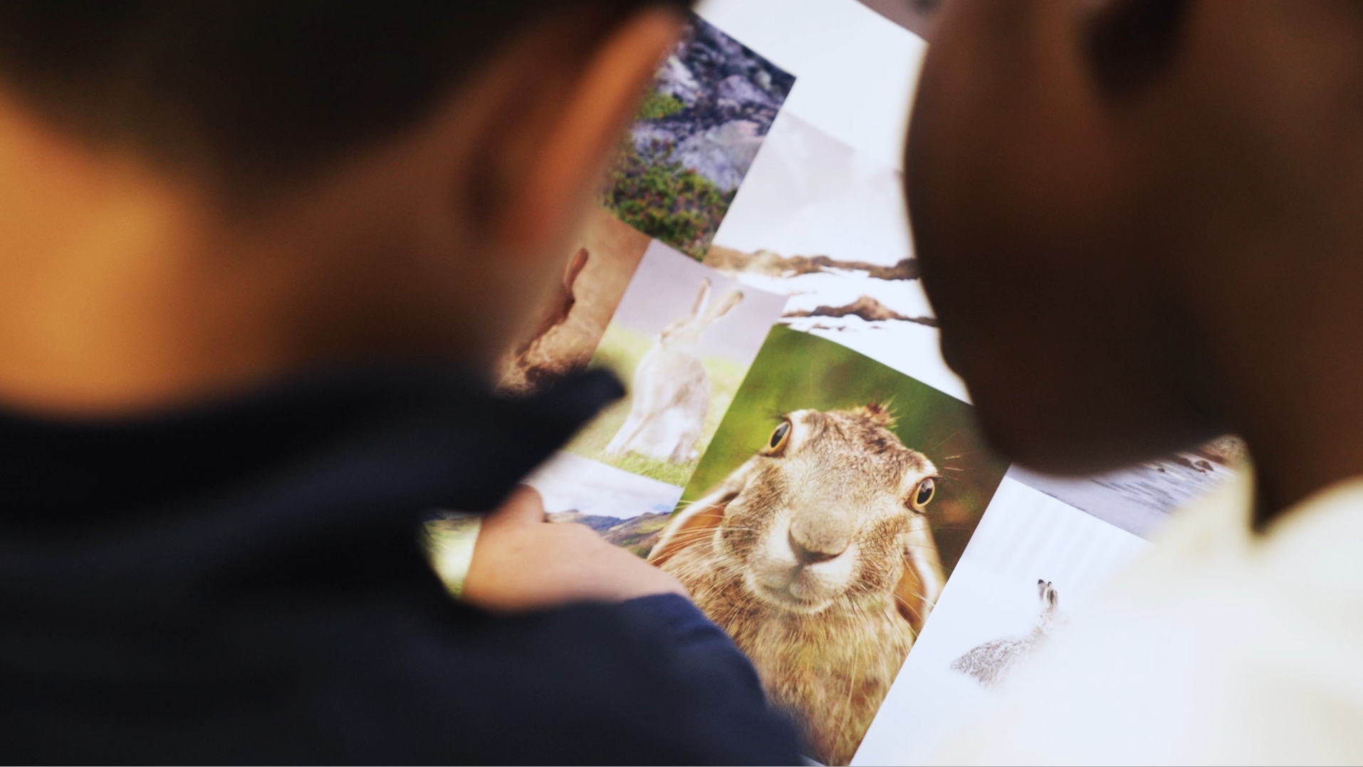 Capture d’écran 2026-03-20 à 11.13.53.png