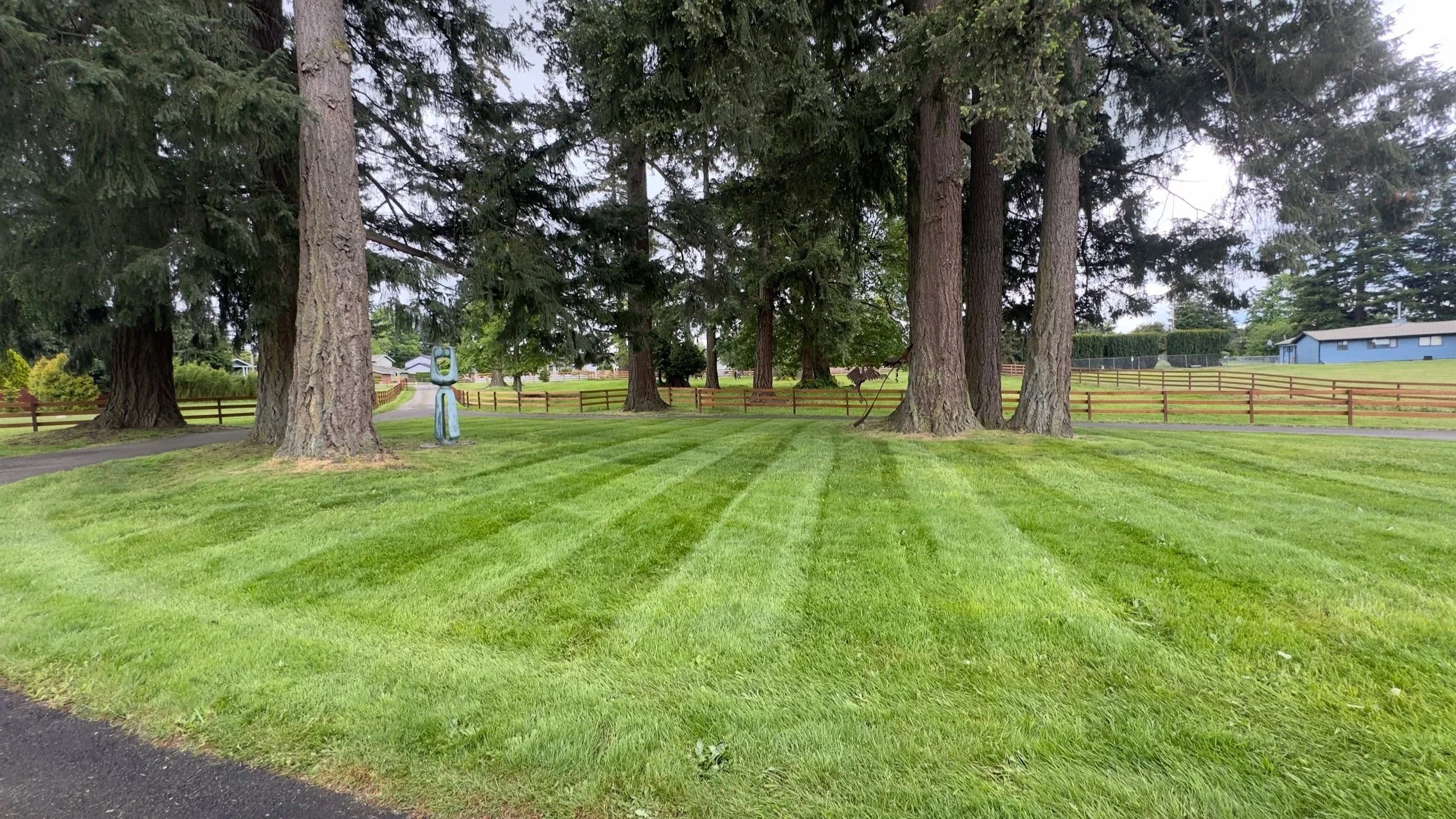 A well-maintained lawn in Enumclaw with our mowing and lawn care maintenance