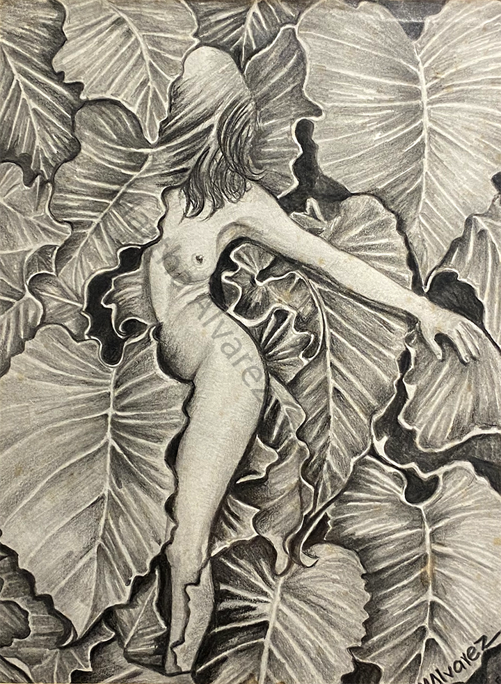 Entre hojas / Among Leaves
Charcoal - Carboncillo