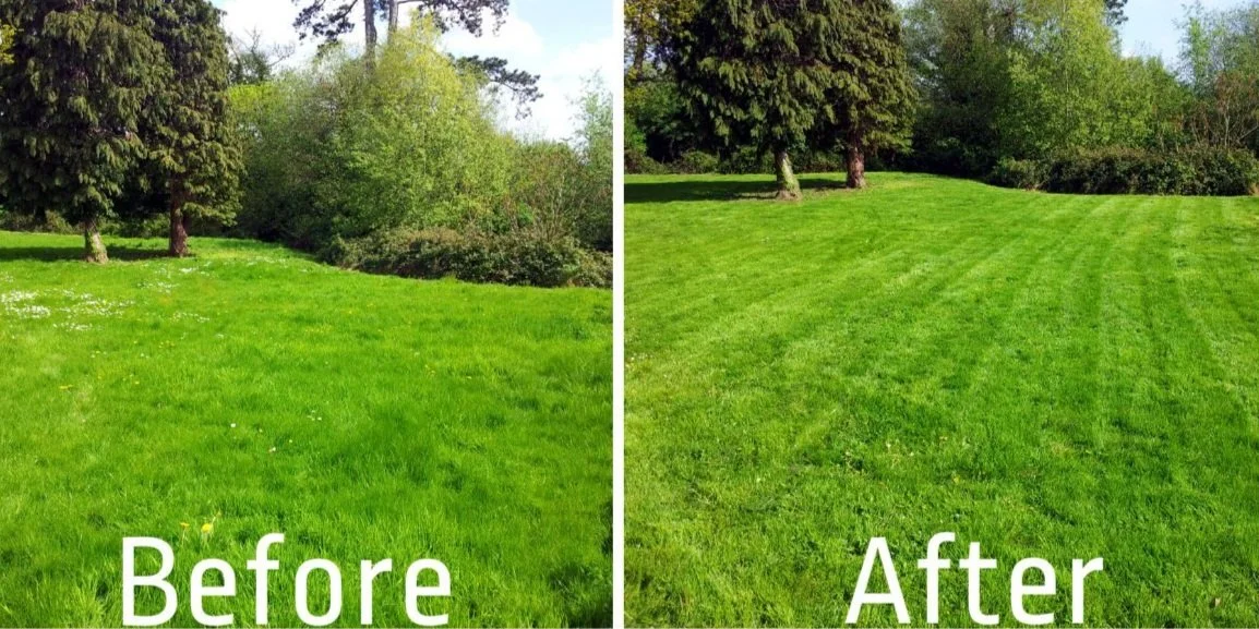 grass-cutting-services.jpg