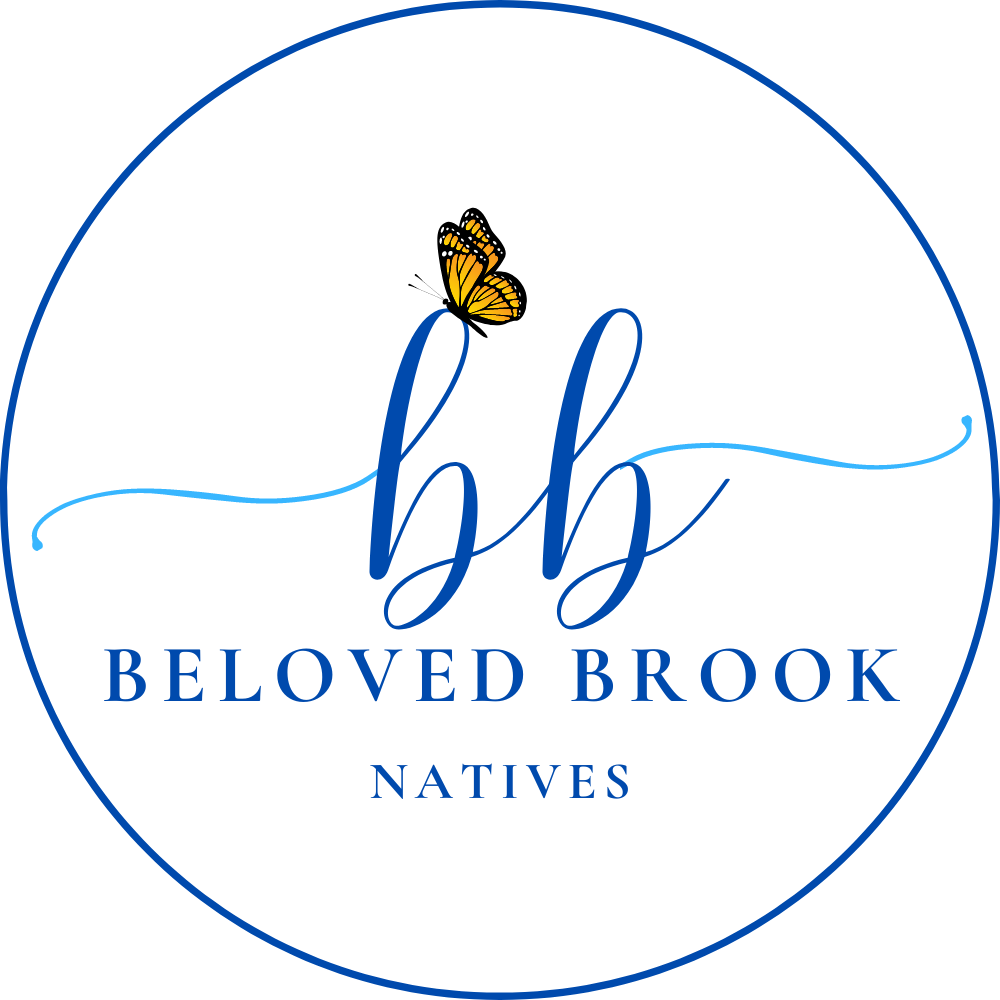 Beloved Brook logo for social (1000 × 1000 px) v2.png