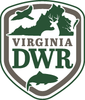 dwr-logo.webp