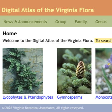 Digital Atlas of the Virginia Flora