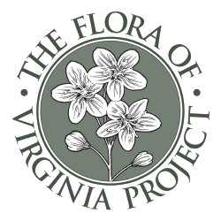 Flora of Virginia Project