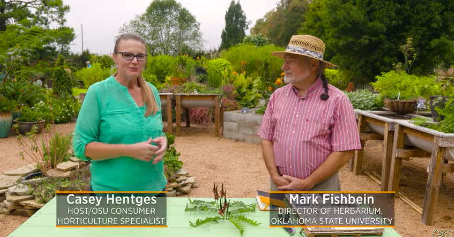 Pressing Plants Video