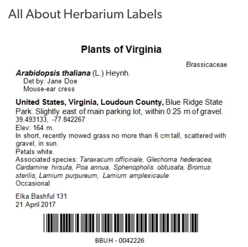 Herbarium specimen labels