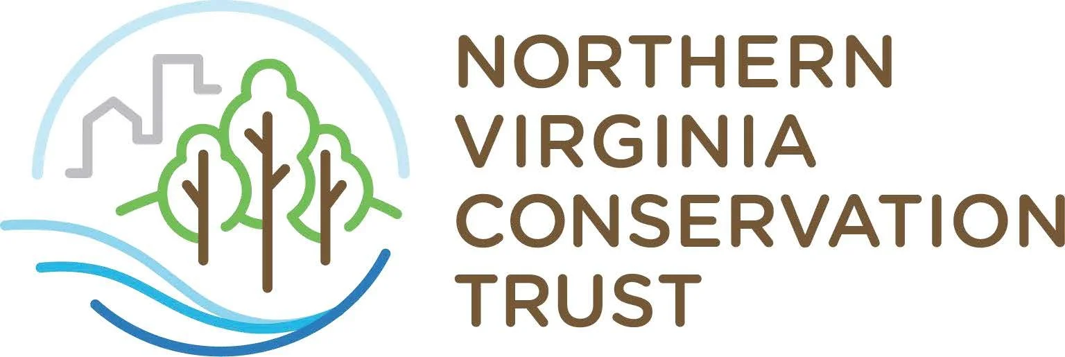 NVCT_Logo_Color.jpg