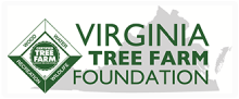 VTFF logo.png