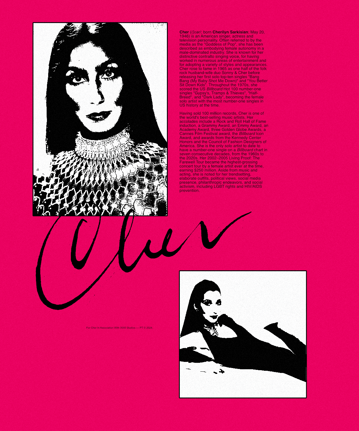 CHER - POSTER 01.png