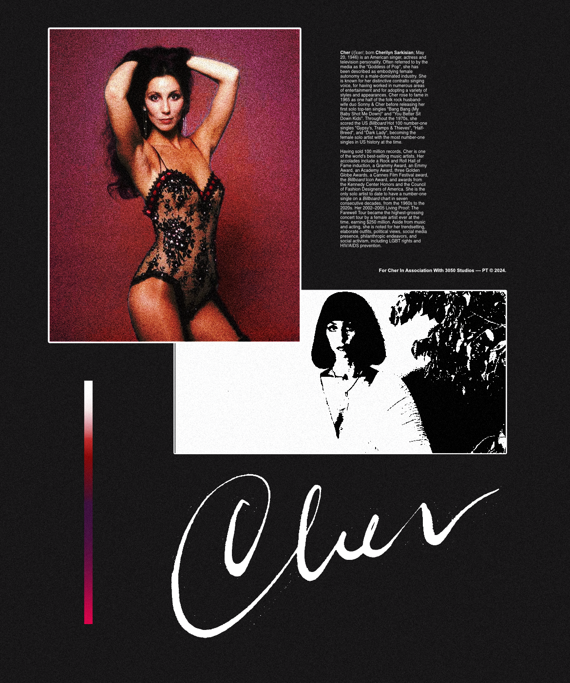 CHER - POSTER 05.png