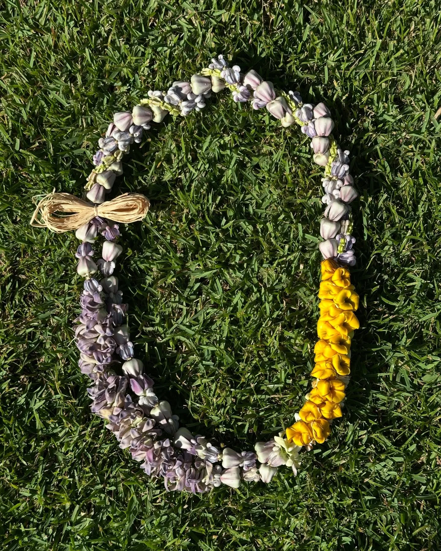 Another crown flower &amp; plumeria lei ✨ 

The string of green baby crown flower is my favorite part. Also wrapped each plumeria to give it a new look (kinda looks like pua kenikeni)!