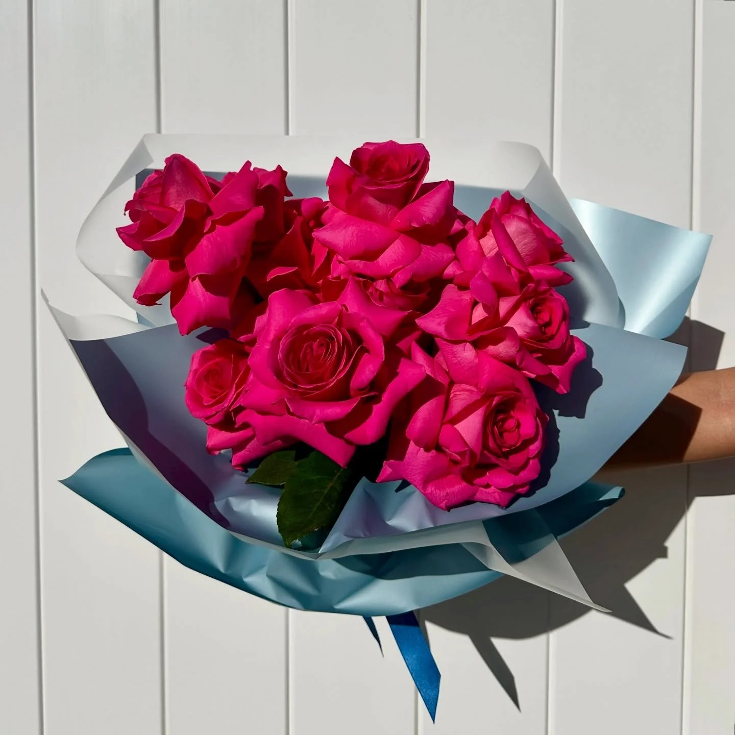 Love a rose moment 🩵