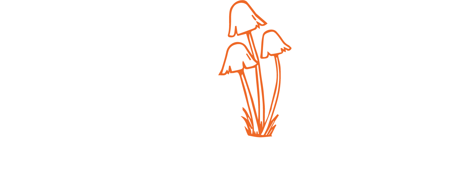 Kylie Bea Yoga Calgary