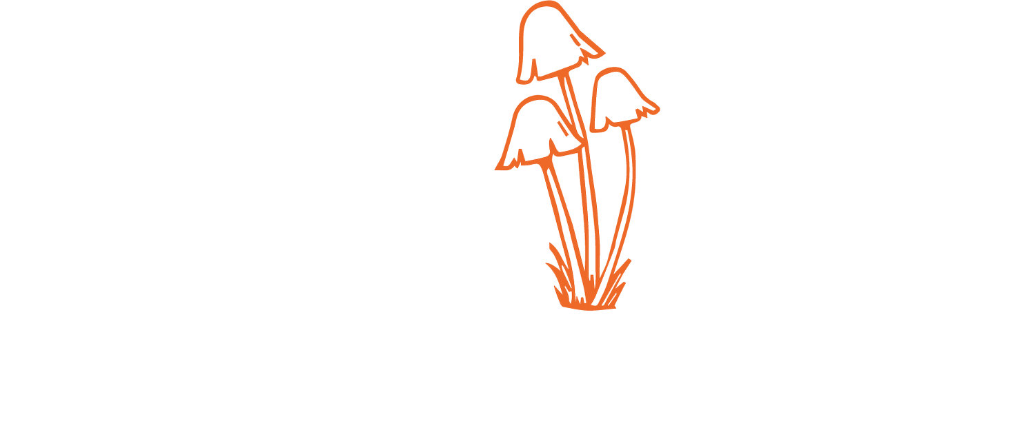 Kylie Bea Yoga