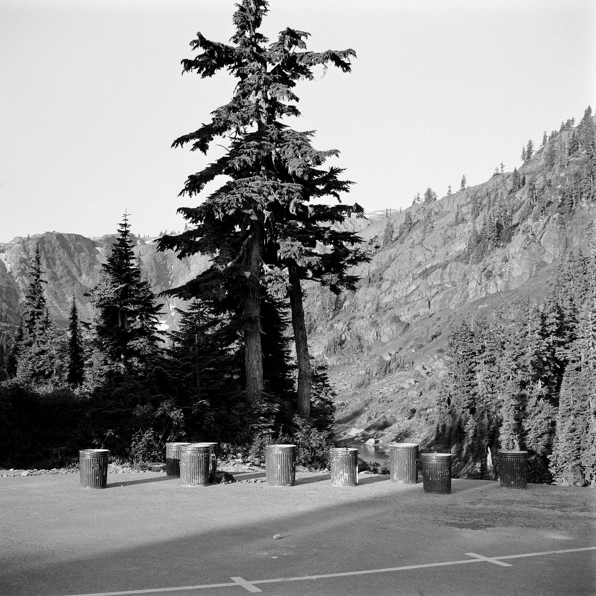 Hindsight-PNW-trash-cans-MG-web.jpg