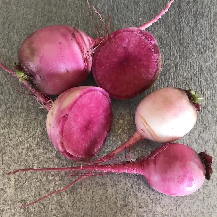 Radish-Watermelon (1).jpeg