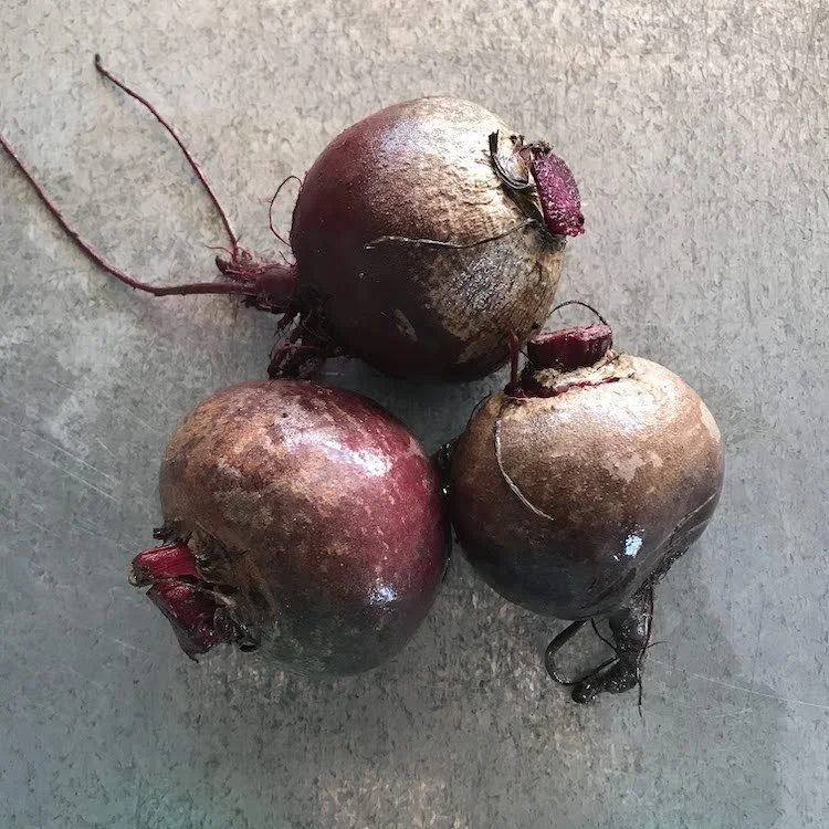 Beet- red.jpg