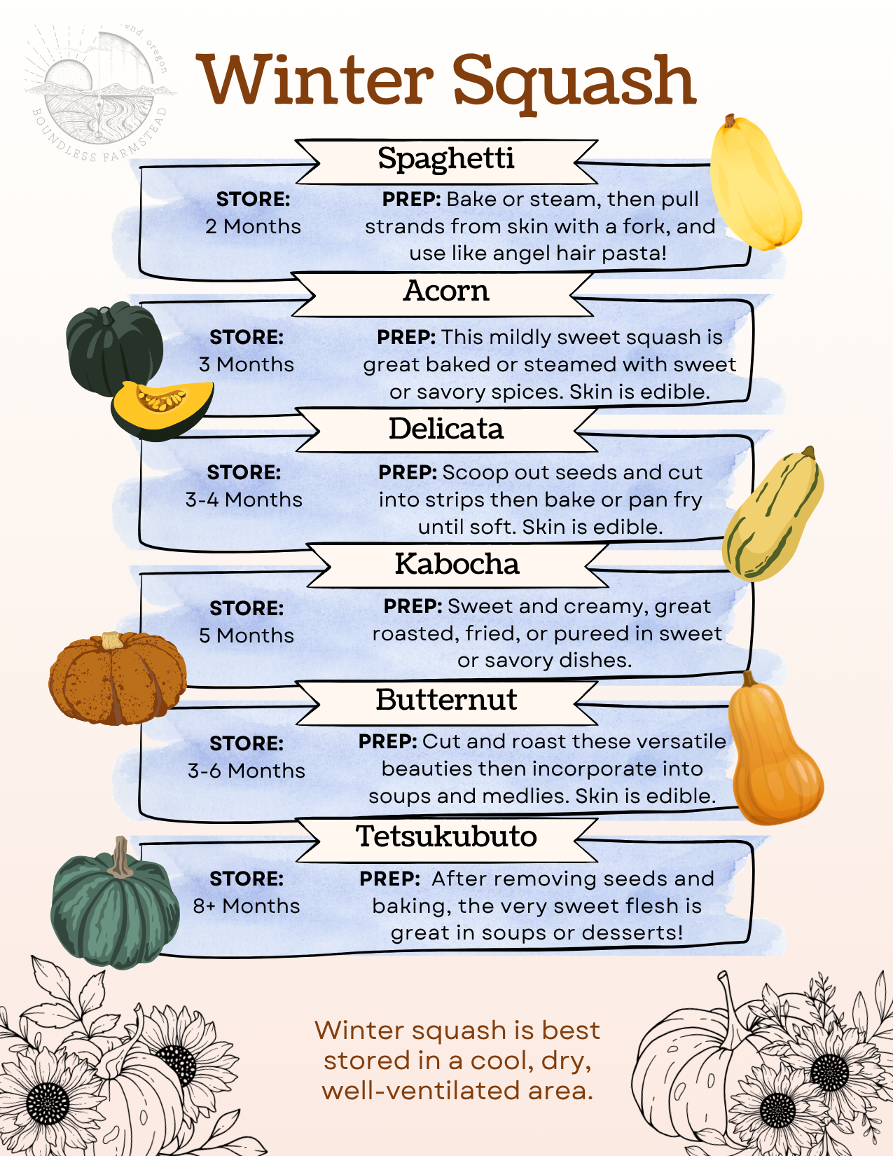 FYP Squash Guide.png