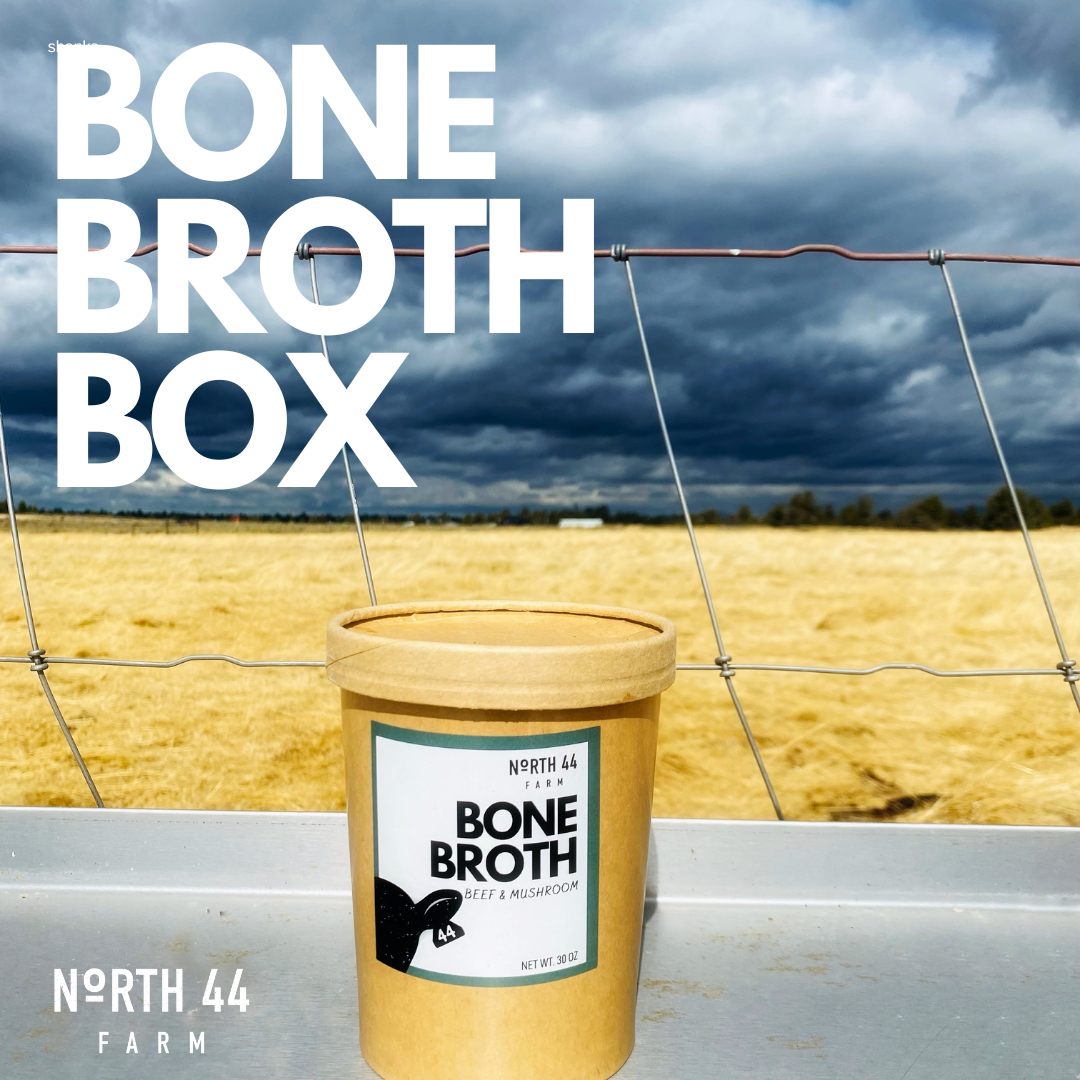 N44-FYP-BONE BROTH BOX.png