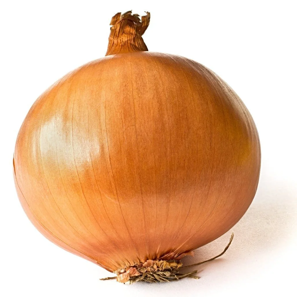 yellow onion.jpg