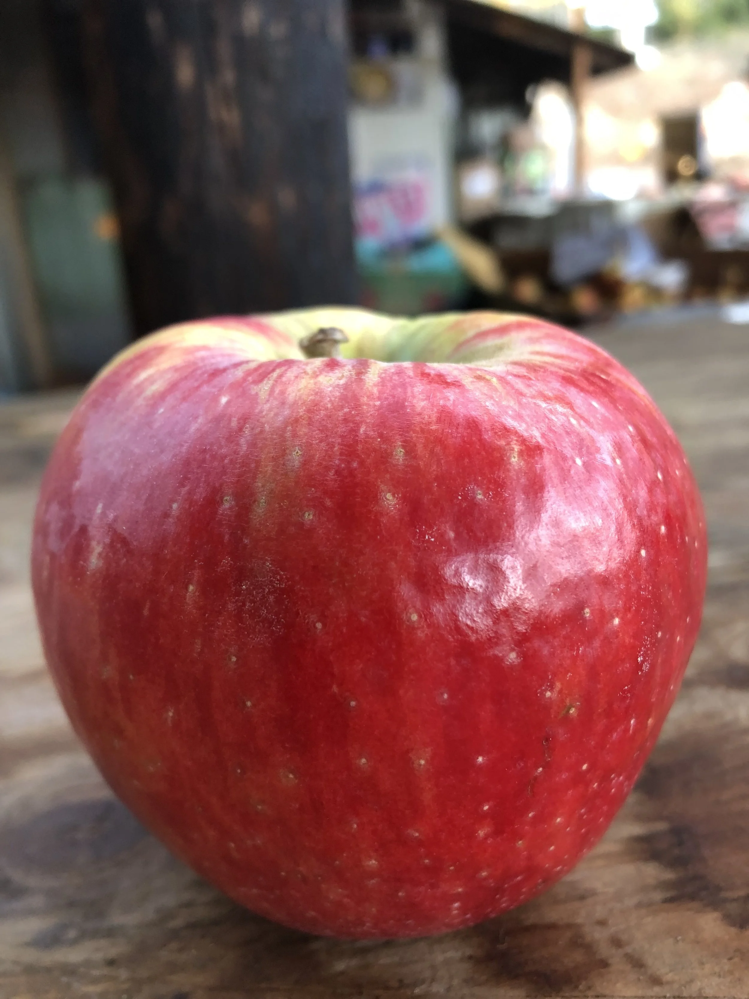 image_67143681.JPG