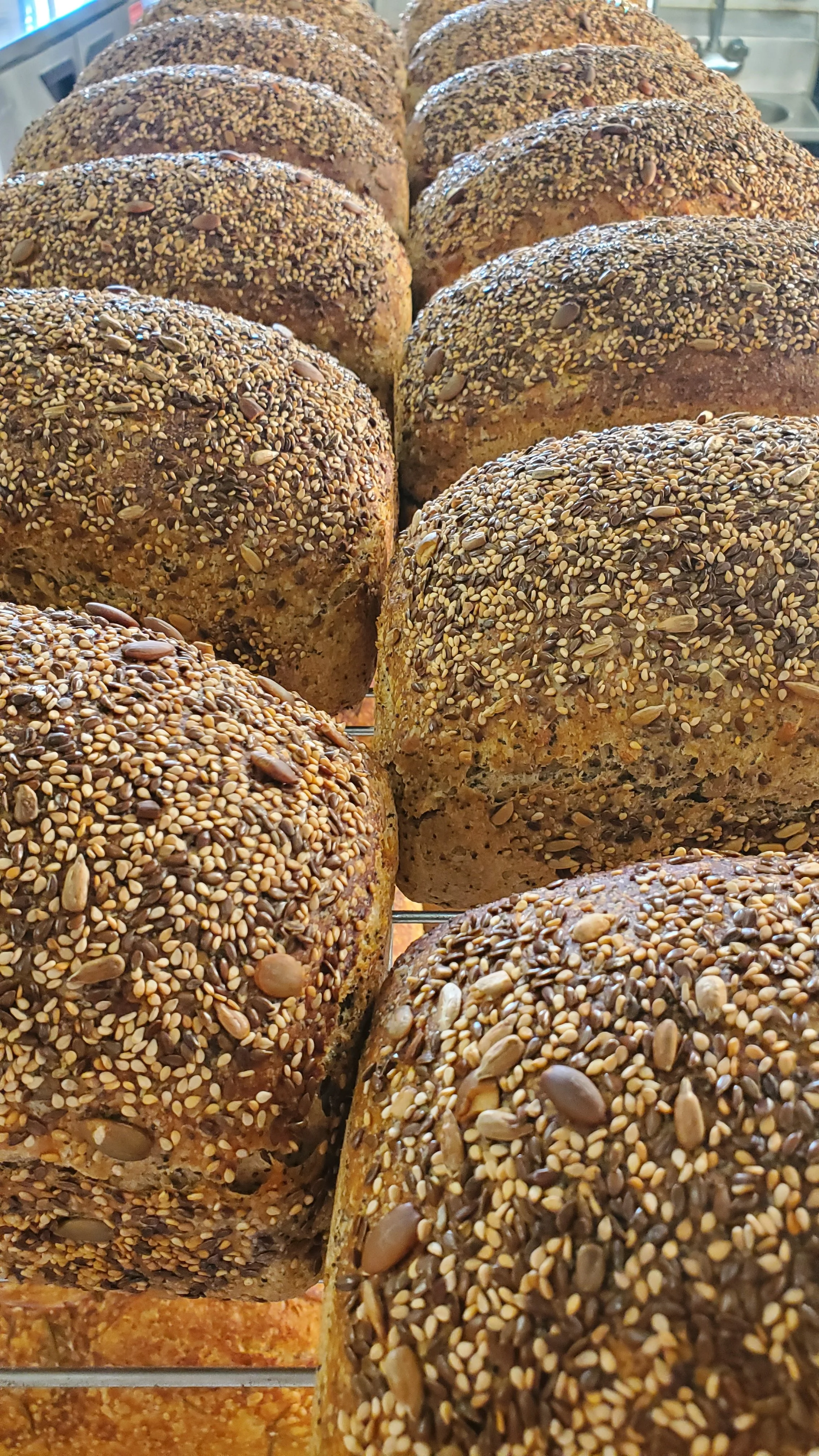 Seeded Wheat 2.jpg
